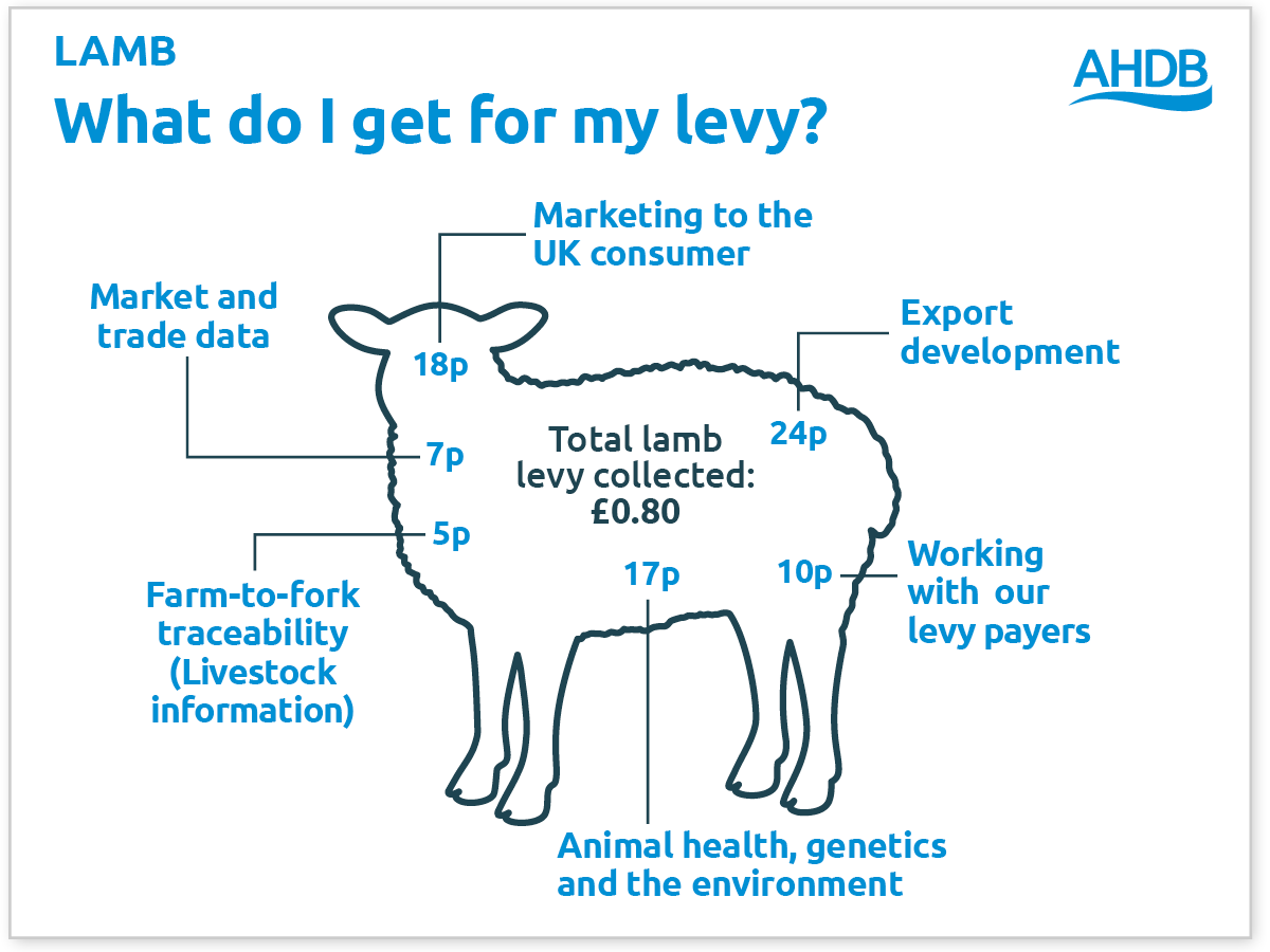 Lamb sheep what do I get for my levy graphic